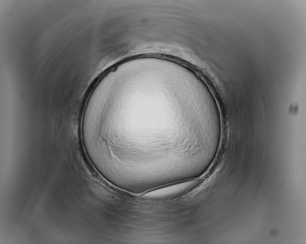 X0000099581505200806061614