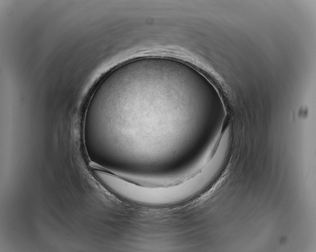 X0000099581506200806061614