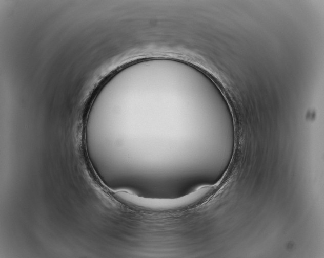 X0000099581507200806061614