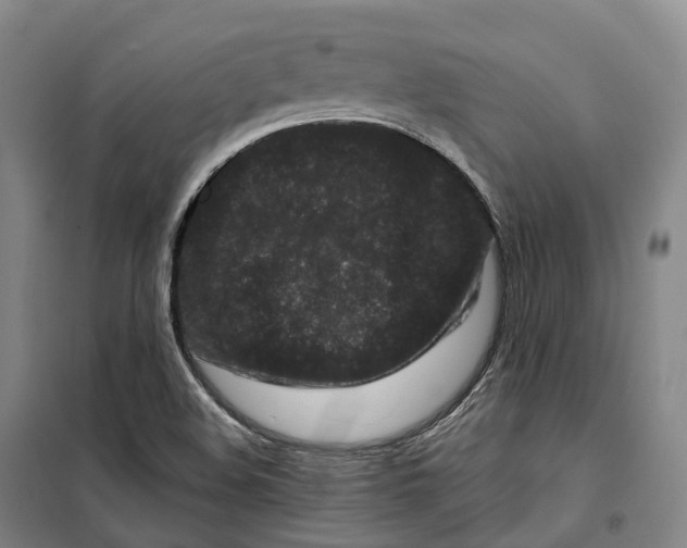 X0000099581508200806061614