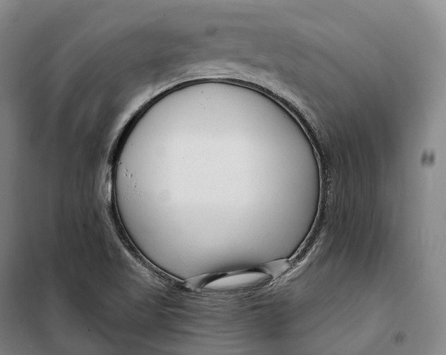 X0000099581509200806061614