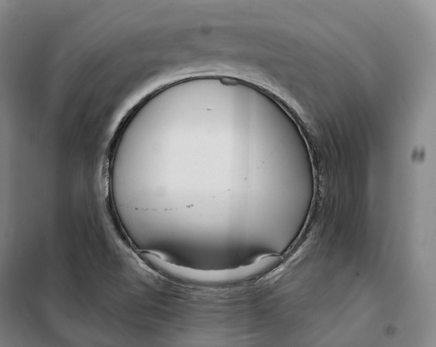 X0000099581510200806061614