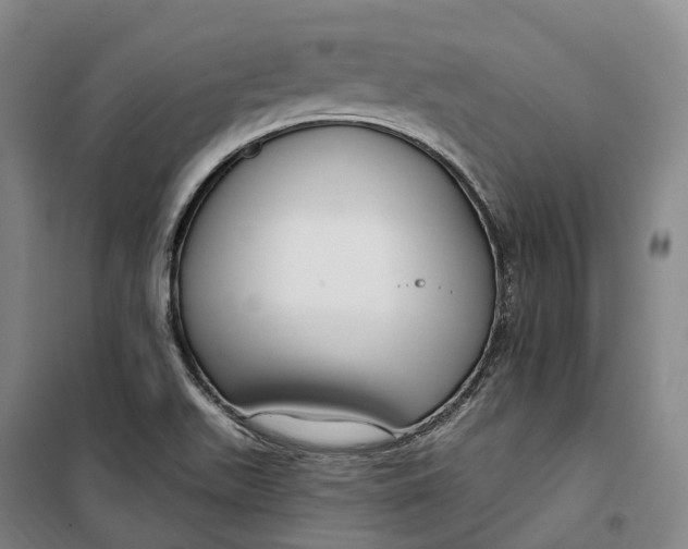 X0000099581511200806061614