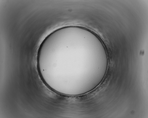 X0000099581512200806061614