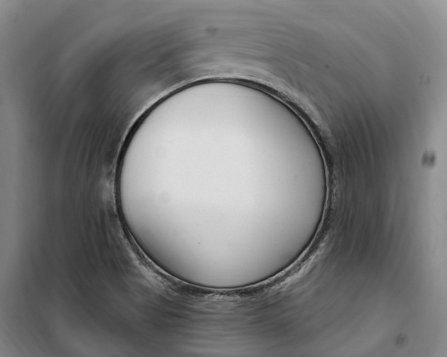 X0000099581513200806061614