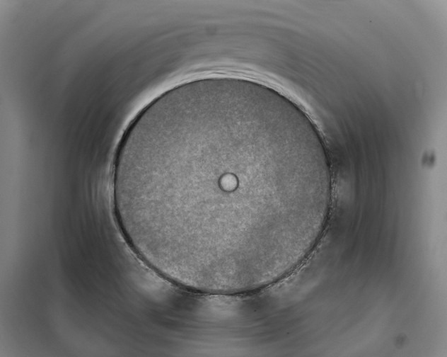 X0000099581514200806061614