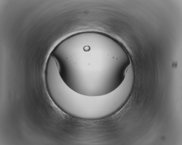 X0000099581516200806061615