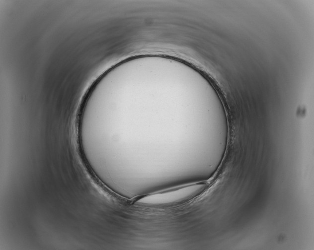 X0000099581517200806061615