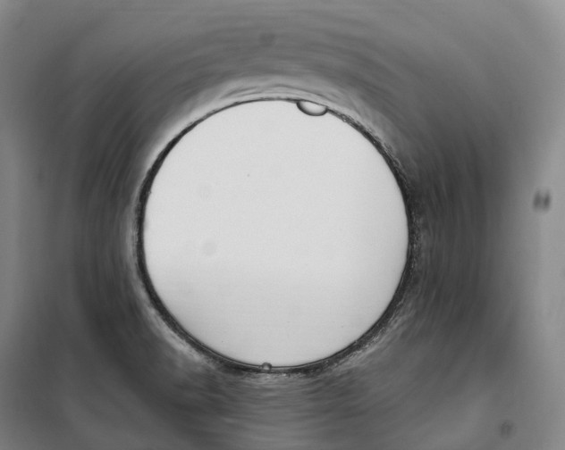 X0000099581518200806061615