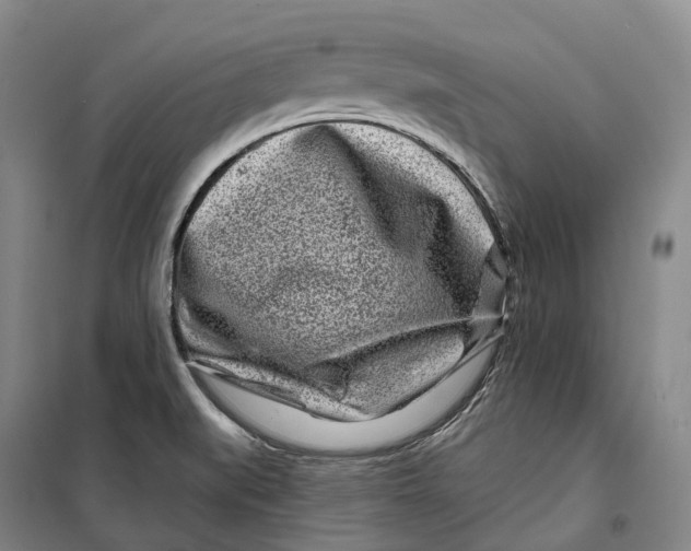 X0000099581519200806061615