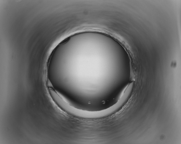 X0000099581520200806061615