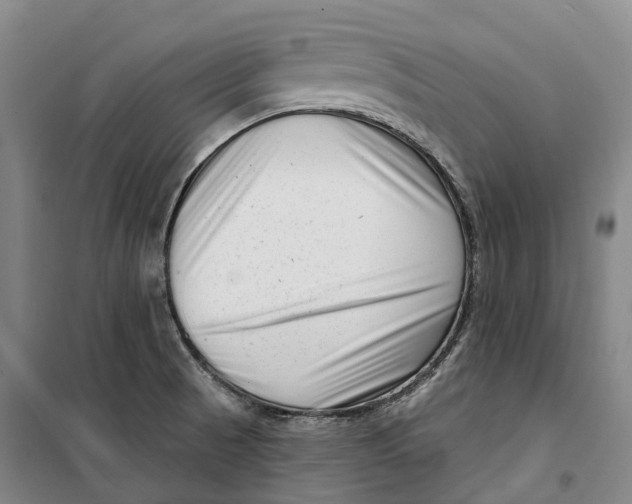 X0000099581521200806061615