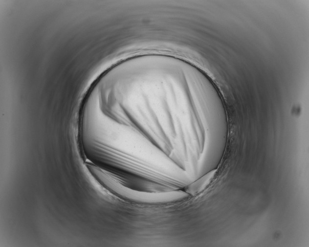 X0000099581523200806061615