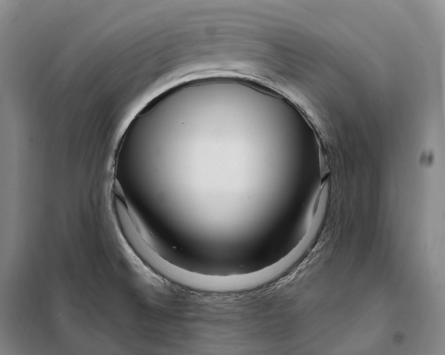 X0000099581524200806061615