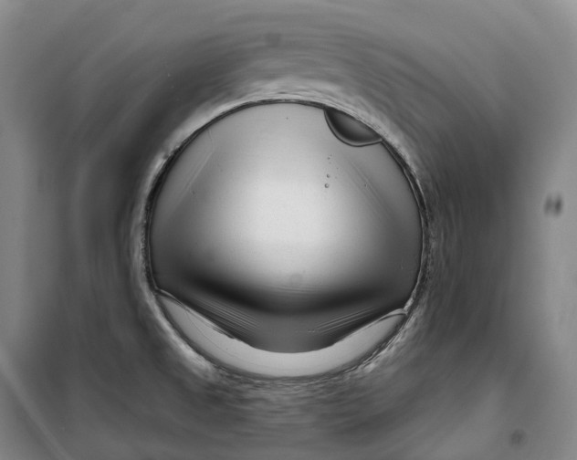 X0000099581525200806061615