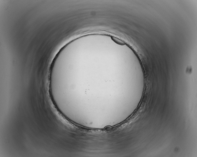 X0000099581526200806061615