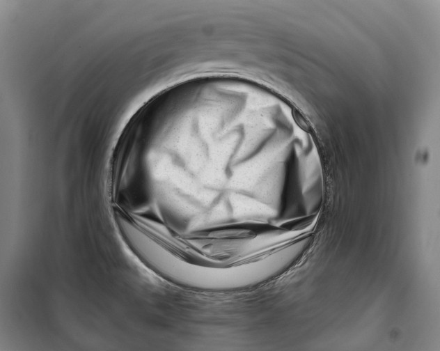 X0000099581527200806061615