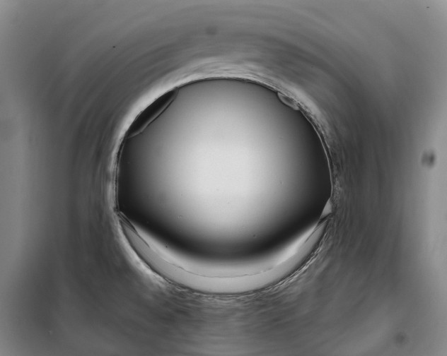 X0000099581528200806061615