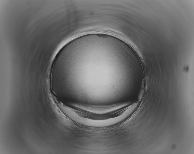 X0000099581530200806061615