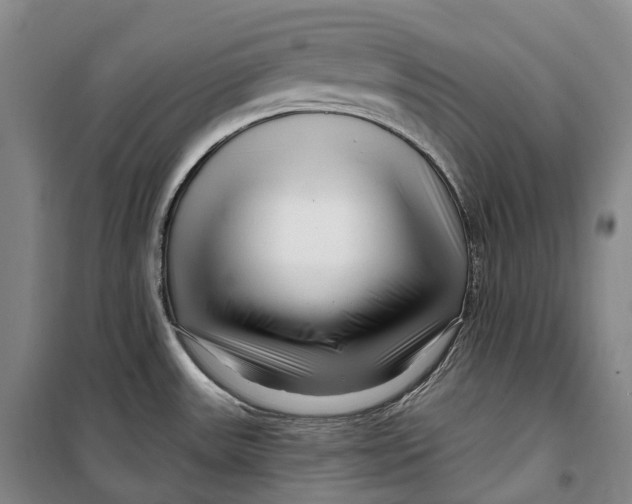 X0000099581531200806061615