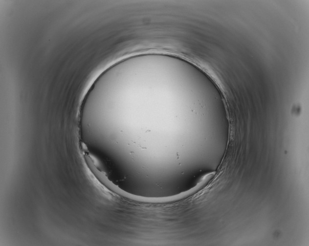 X0000099581532200806061615