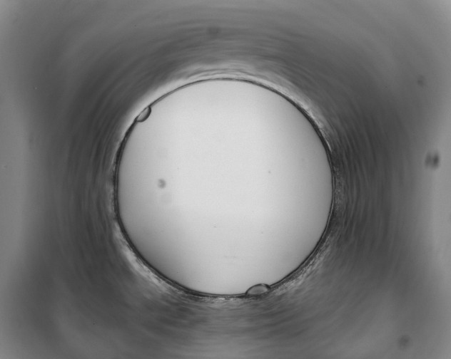 X0000099581534200806061615