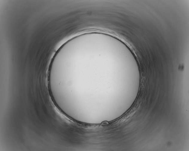 X0000099581535200806061615