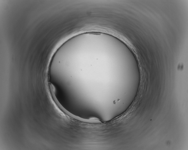 X0000099581536200806061615