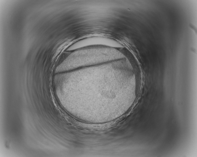 X0000099580001200806131328