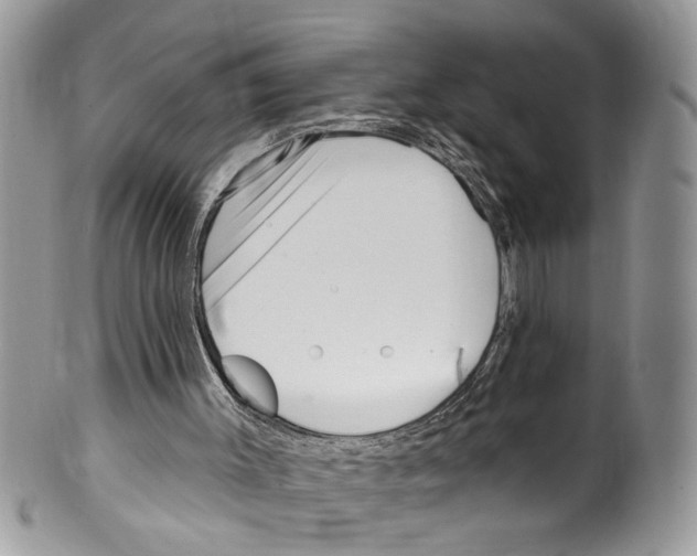 X0000099580003200806131328