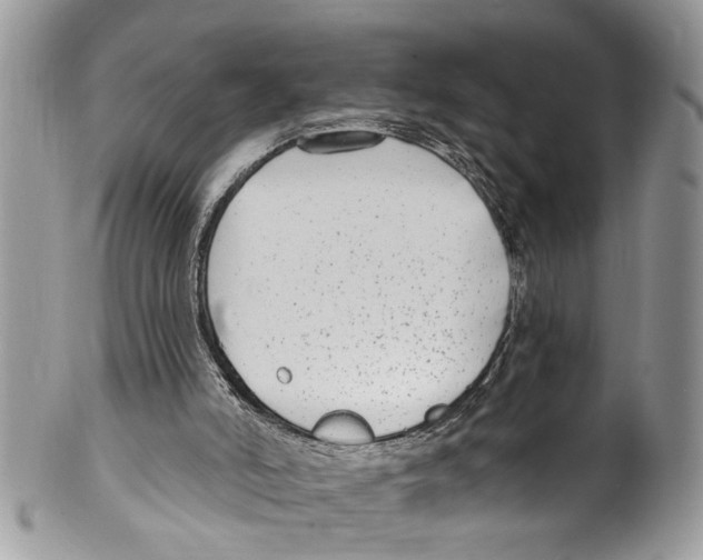 X0000099580006200806131328