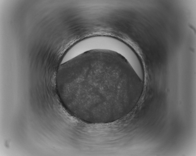 X0000099580009200806131328