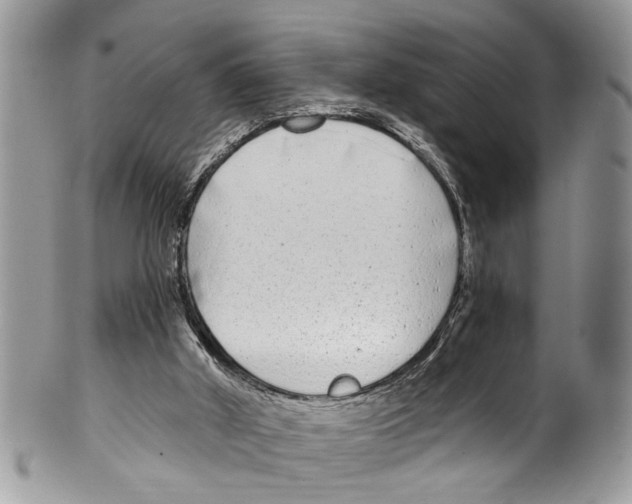 X0000099580010200806131328