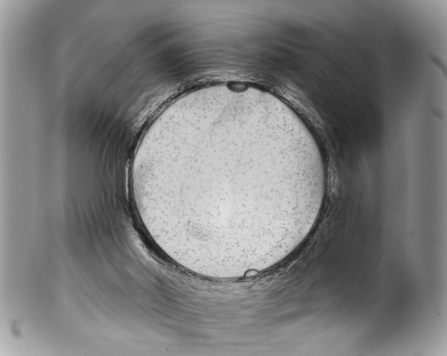 X0000099580014200806131328