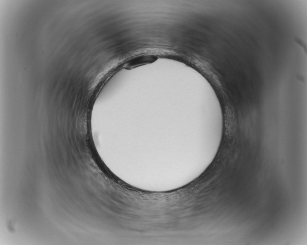 X0000099580015200806131328