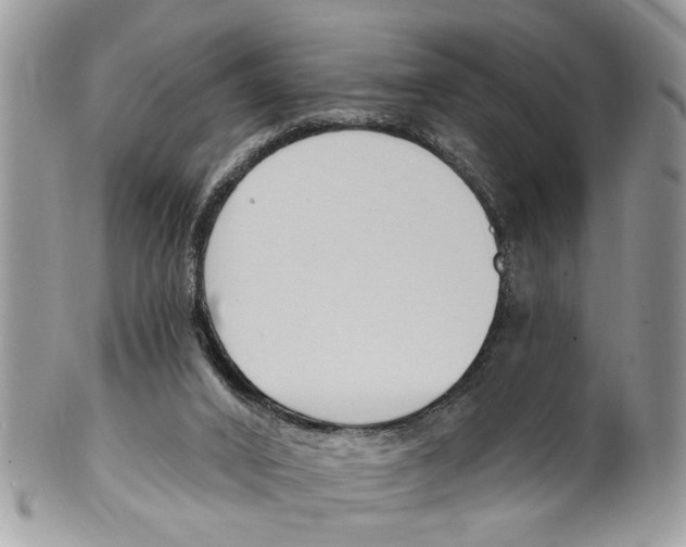 X0000099580016200806131328