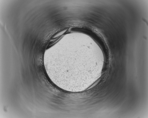 X0000099580017200806131328