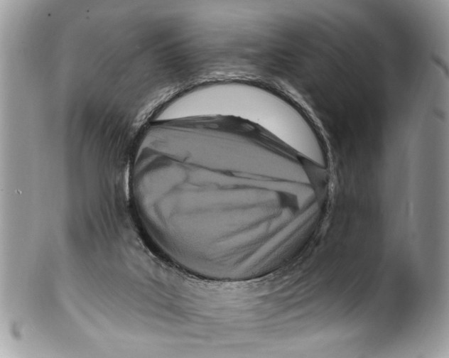 X0000099580019200806131328