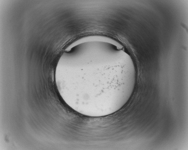 X0000099580021200806131328