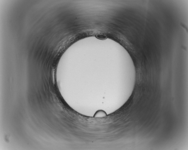 X0000099580022200806131328