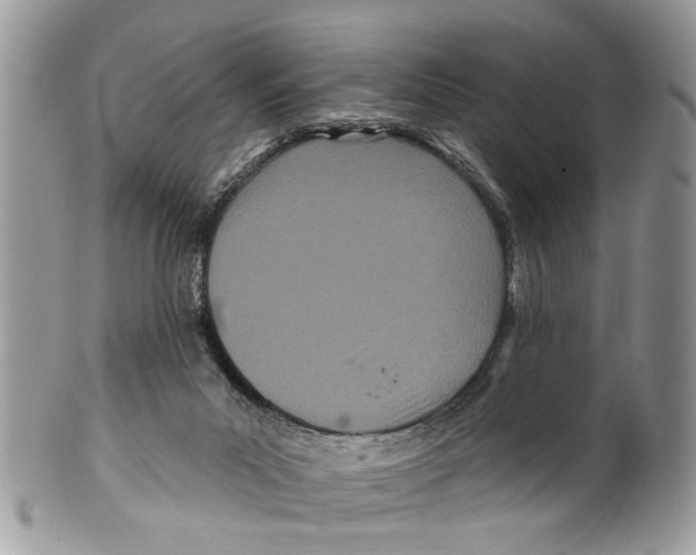 X0000099580023200806131328