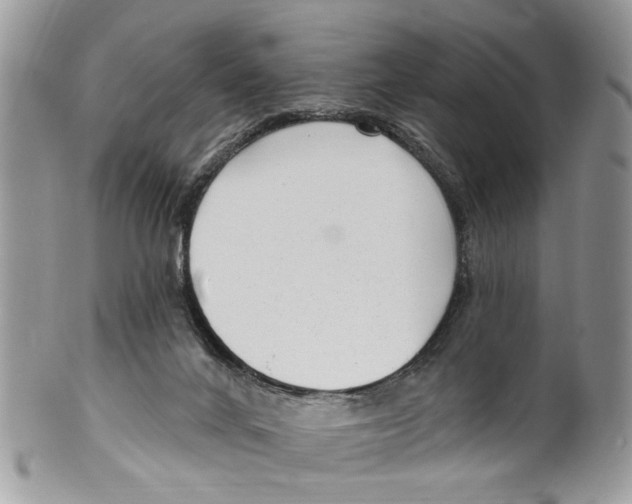 X0000099580024200806131328