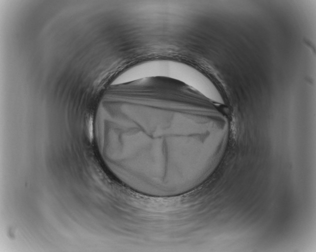 X0000099580027200806131328