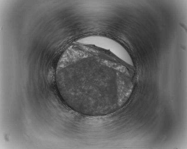 X0000099580029200806131328