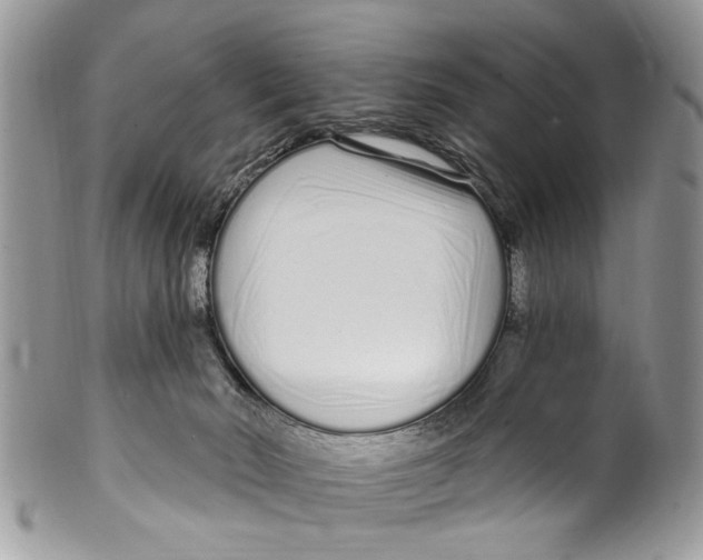 X0000099580030200806131328