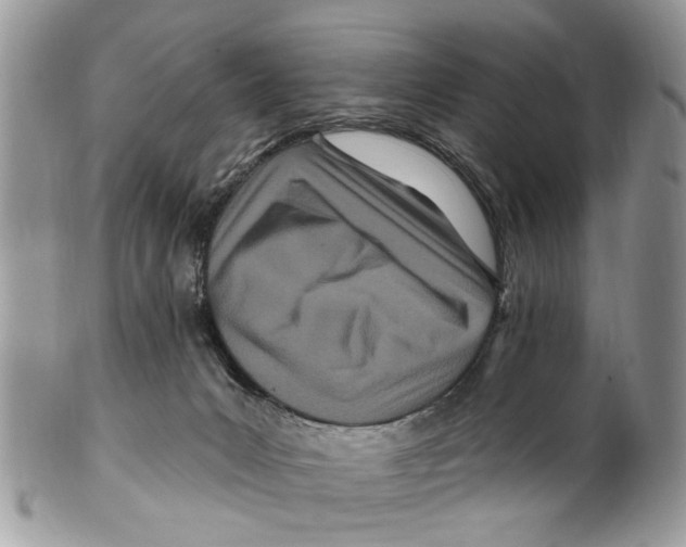 X0000099580031200806131328