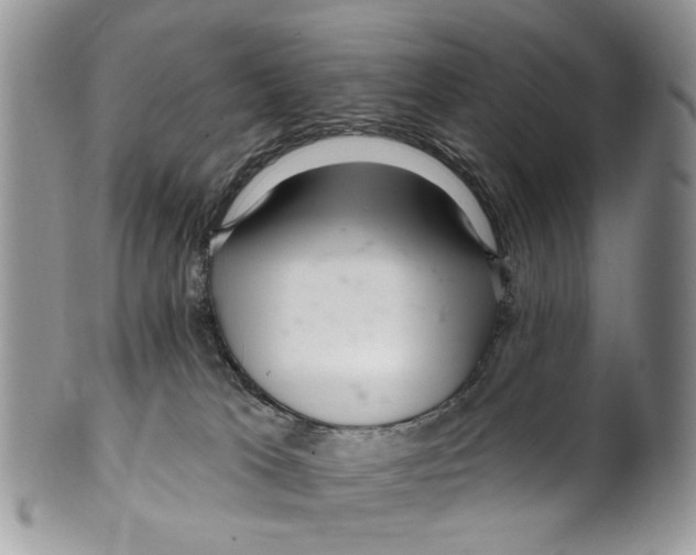 X0000099580037200806131328