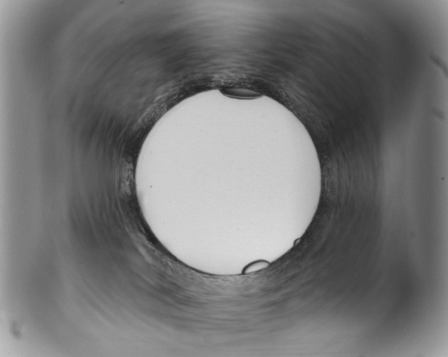 X0000099580038200806131328