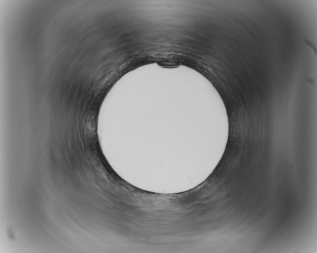 X0000099580040200806131328