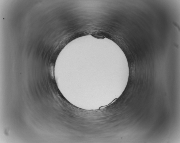 X0000099580042200806131328